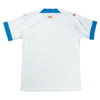 Suwon Bluewings - Uitshirt - 2023 - Maat XL - 10/10