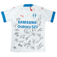 Suwon Bluewings - Uitshirt - 2023 - Maat XL - 10/10